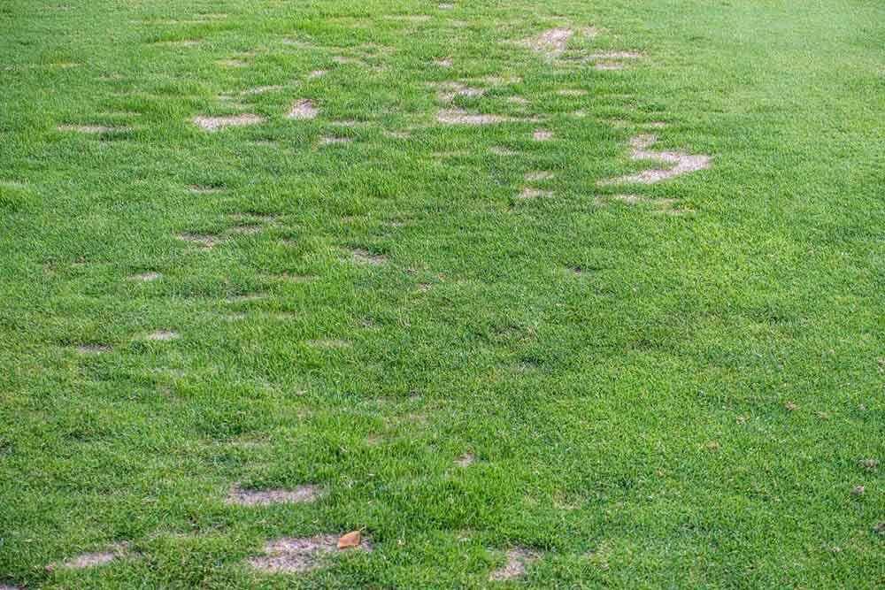 How to Restore Worn-Out Artificial Turf