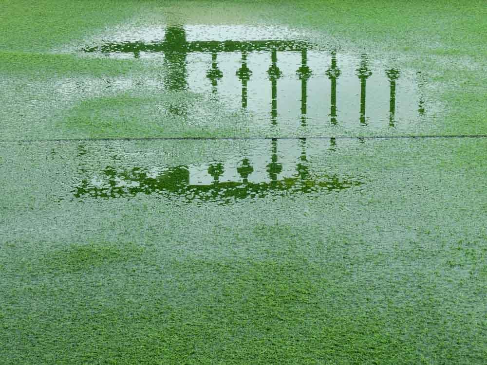 How Weather Conditions Impact Your Artificial Turf and What You Can Do
