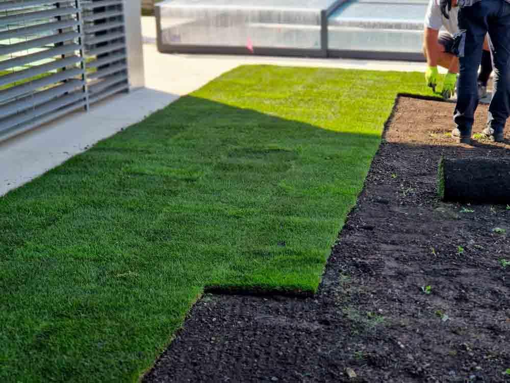 Low Maintenance Doesn’t Mean No Maintenance: Why Your Turf Still Needs Attention
