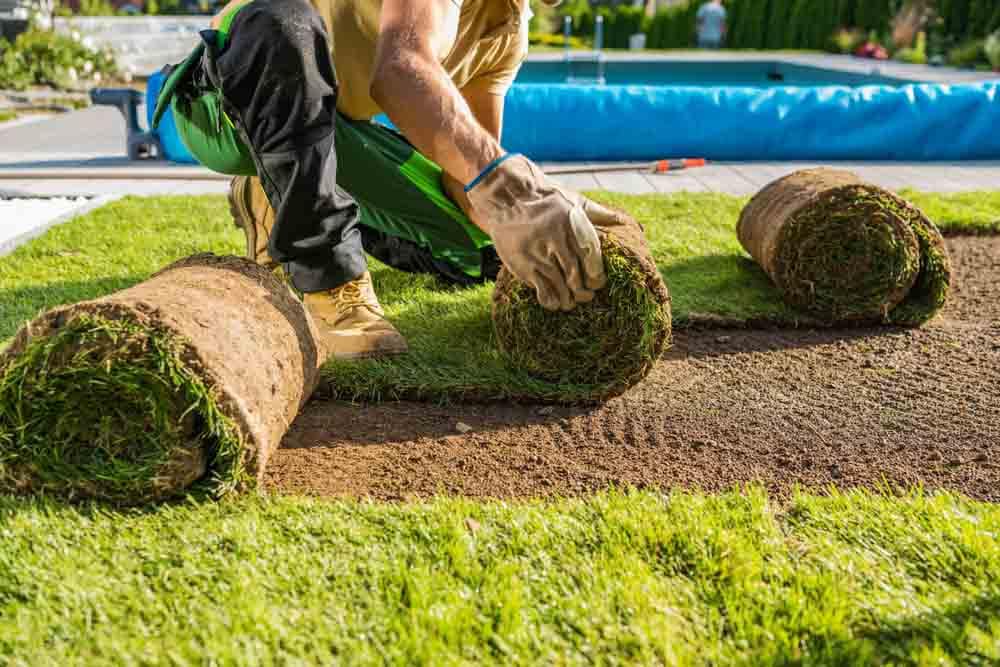 Regular Turf Cleaning: The Secret to a Fresh, Long-Lasting Lawn