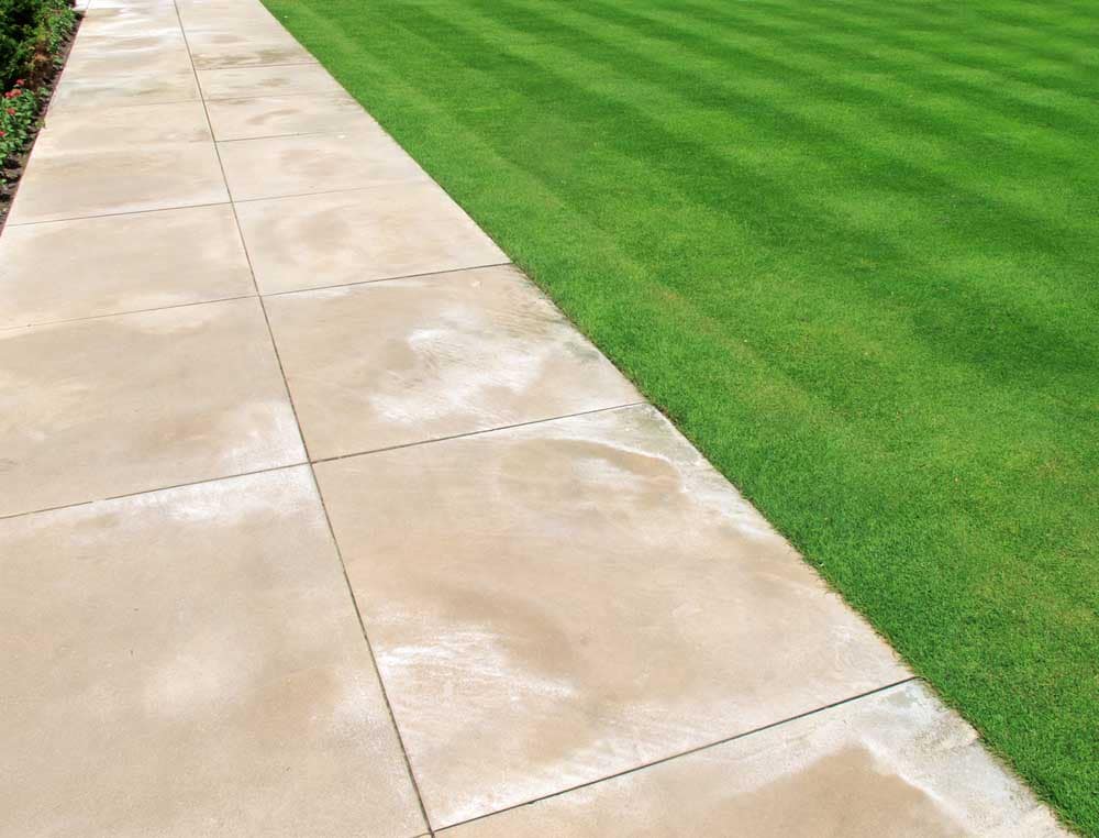 The Best Turf for High-Traffic Areas