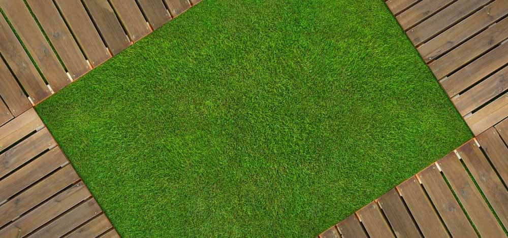 The Year-Round Guide to Healthy Turf: Seasonal Care Tips for Homes and Businesses