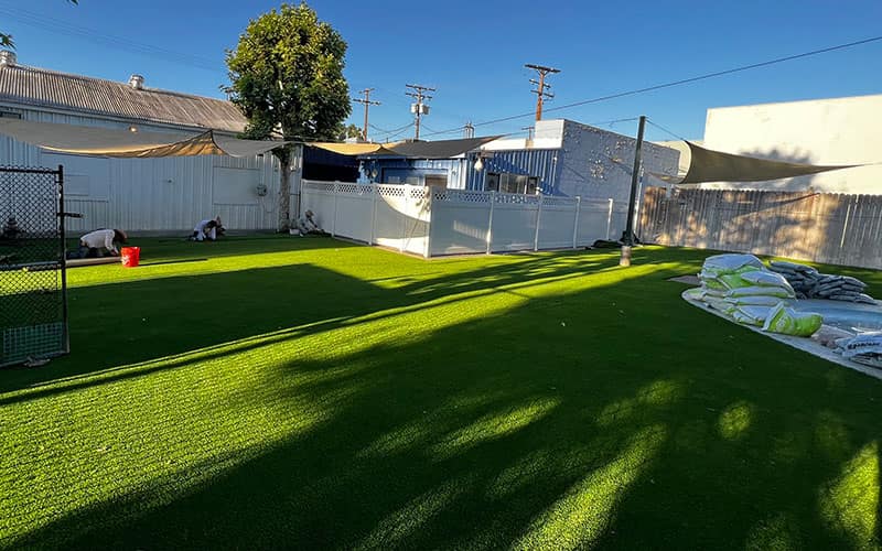 Pet turf installation by HaloTurf, photo 1