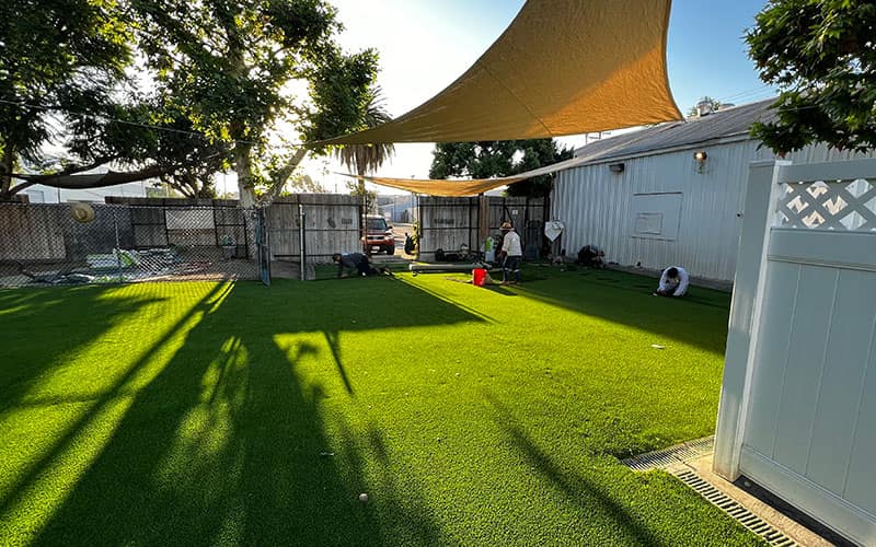 Pet-friendly artificial turf yard installed by HaloTurf