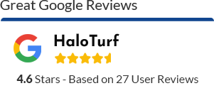 google review 4.6