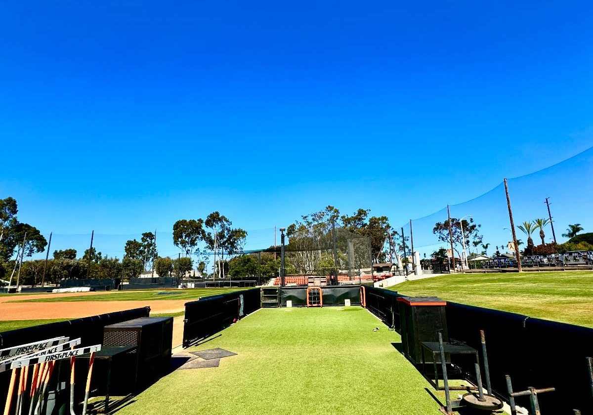 Batting Cage Turf