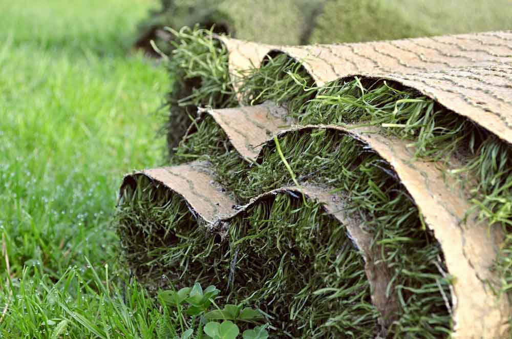 Residential lawn with artificial turf