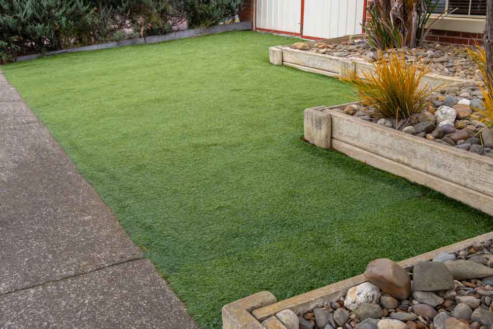 backyard turf