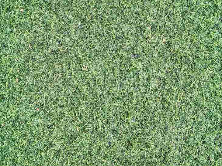 faded artificial turf